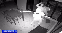 Gang jumps fence, smashes door to steal two BMWs in Logan home invasion