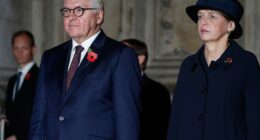 German president's UK state visit will celebrate strategic ties and recall historic scars