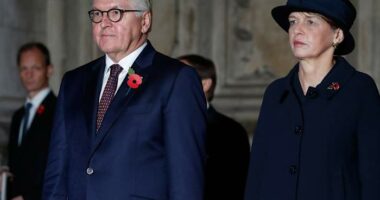 German president's UK state visit will celebrate strategic ties and recall historic scars