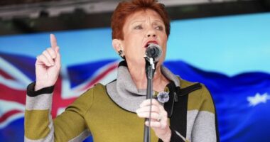 Good news in new poll for Hanson - but who is our most-liked politician?