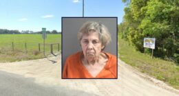 'Gotta do this': Great-grandmother drove around all day trying to kill her disabled 13-year-old great-granddaughter, deputies say