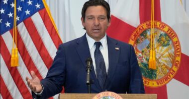 Gov. DeSantis makes new appointment to St. Augustine Airport Authority