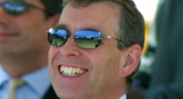 Government accused of cover up after censoring details of Andrew's taxpayer-funded travel