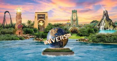 Guest attacked by guard dog at Universal Orlando, lawsuit says