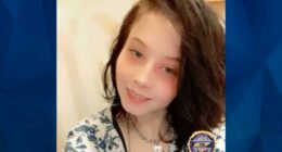 HOLLYNN, 19, MIND OF 10 Y.O., VANISHES FROM PARTY, SPARKS SERIAL KILLER FEAR