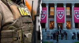 Harvard professor detained by ICE after Boston synagogue shooting, agrees to voluntarily leave US