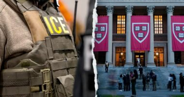 Harvard professor detained by ICE after Boston synagogue shooting, agrees to voluntarily leave US