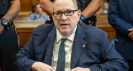 Harvey Weinstein accuser Kaja Sokola is being sued for defamation. The plaintiff: Her sister