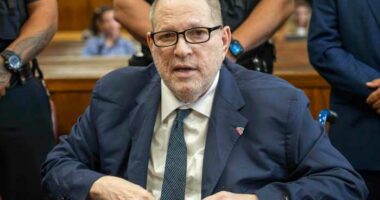 Harvey Weinstein accuser Kaja Sokola is being sued for defamation. The plaintiff: Her sister