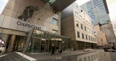 High-profile man accused of raping woman told series of lies, court hears