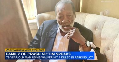 Hillside crash: Family speaks after Vietnam veteran Edward Price struck, killed by vehicle near Butterfield, Laverne: EXCLUSIVE
