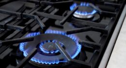 Hochul must veto the 100-foot rule bill