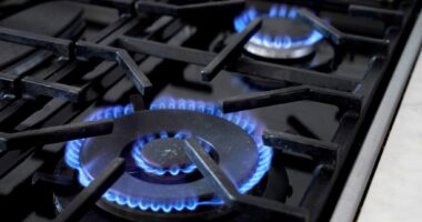 Hochul must veto the 100-foot rule bill