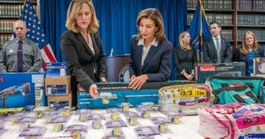 Home Depot theft ring busted in Queens after stealing $2.2 million