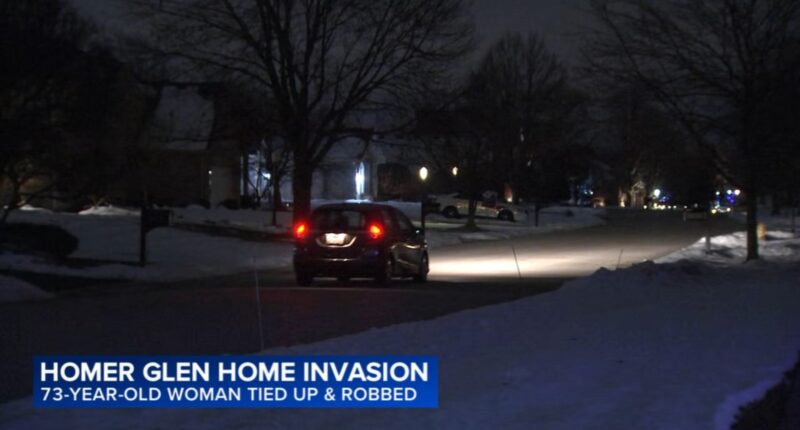 Homer Glen home invasion: Woman, 73, held at gunpoint, robbed at home in 16800-block of S. Deer Path, Will Co. sheriff says