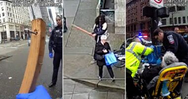 Horror video captures repeat offender allegedly attacking 75-year-old woman, gouging her eye with spiked stick