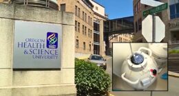 Hospital workers 'wrongfully inseminated' mother during couple's fertility procedure, leaving their child with 'medical issues' inherited from total stranger, lawsuit says