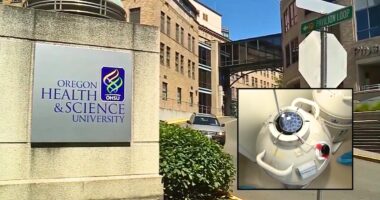 Hospital workers 'wrongfully inseminated' mother during couple's fertility procedure, leaving their child with 'medical issues' inherited from total stranger, lawsuit says