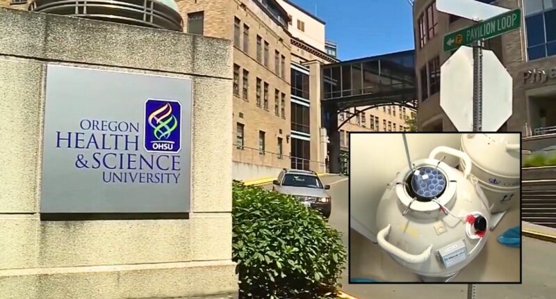 Hospital workers 'wrongfully inseminated' mother during couple's fertility procedure, leaving their child with 'medical issues' inherited from total stranger, lawsuit says