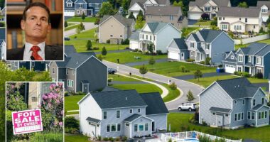 House price crash warning as No2 homebuilder forced into drastic act