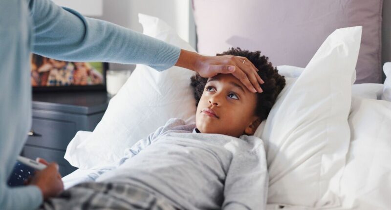 Households with pets or children issued 'germs' warning