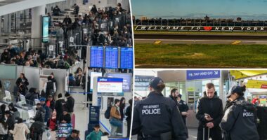 How New York's airports could be jeopardizing your personal data