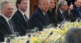 How Silicon Valley turned Trump into a fellow broligarch