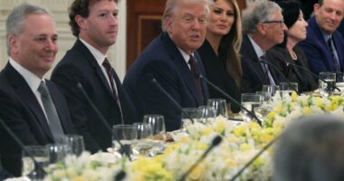 How Silicon Valley turned Trump into a fellow broligarch