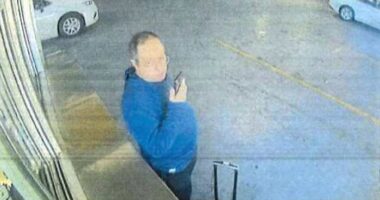 How surveillance technology and the 'Reddit Detective Agency' helped search for a killer