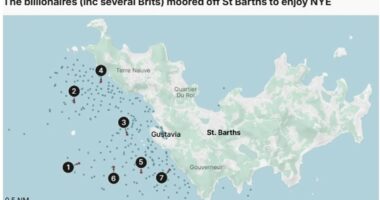 How to celebrate New Year's Eve like a billionaire!