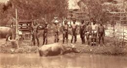 How tribesmen were caged alongside animals in Europe's human zoos