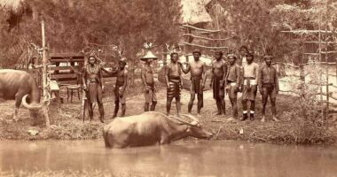 How tribesmen were caged alongside animals in Europe's human zoos