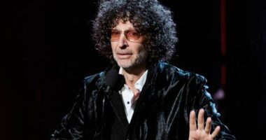 Howard Stern's new SiriusXM deal: How he plans to 'have it all'