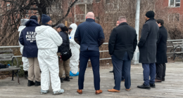 Human skull, other remains found in bushes by Brooklyn's Coney Island as investigators work to unravel mystery