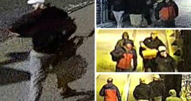 Hundreds of artefacts stolen from Bristol Museum