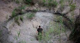 Hungary's 'water guardian' farmers fight back against desertification