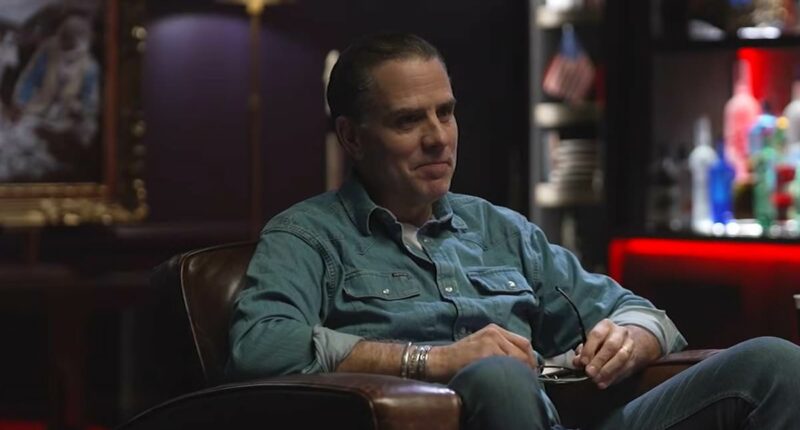 Hunter Biden blows up dad Joe's open-border presidency