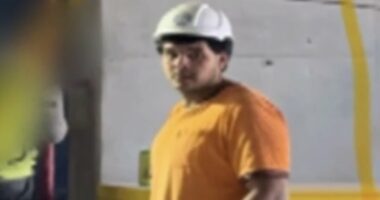 I had breakfast every day with alleged Bondi killer. Now I can't sleep