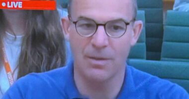 I signed up for this 'Martin Lewis' investment ad that promised it could help me retire. A courteous customer services man immediately called. Then it turned sinister...