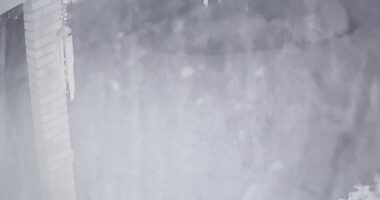 'I thought it was a firework': Neighbors recall deadly Sandalwood shooting caught on surveillance