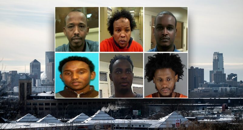 ICE operation in Minneapolis nabs a dozen 'worst of the worst' criminal illegal aliens, including Somalis