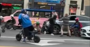 Ian Ziering accused of battery in lawsuit over roadside brawl