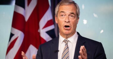 I'll strip pensions from civil servants who let in foreign rapists