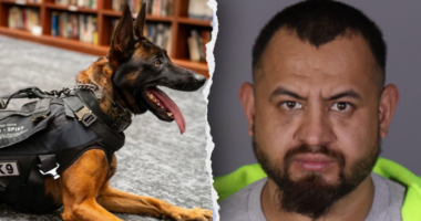 Illegal immigrant gang member killed police K9 'Spike' before officers returned fire in California: source