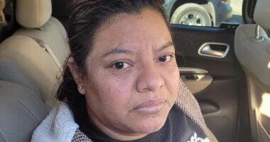 Illegal migrant detained after 'running red light & crashing into ICE'