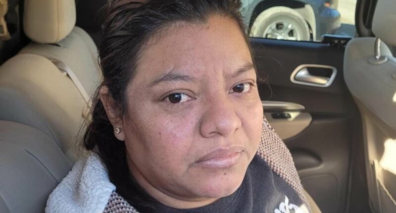 Illegal migrant detained after 'running red light & crashing into ICE'