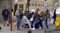 The group sprang into action after witnessing what they believed to be a robbery on Camden High Street in north London, before pursuing the suspect on foot