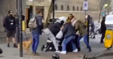 The group sprang into action after witnessing what they believed to be a robbery on Camden High Street in north London, before pursuing the suspect on foot