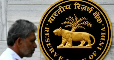 India cuts rates to 5.25% as expected as central bank flags ‘weakness in some key economic indicators’