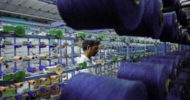 India goods exports rise despite U.S. tariffs